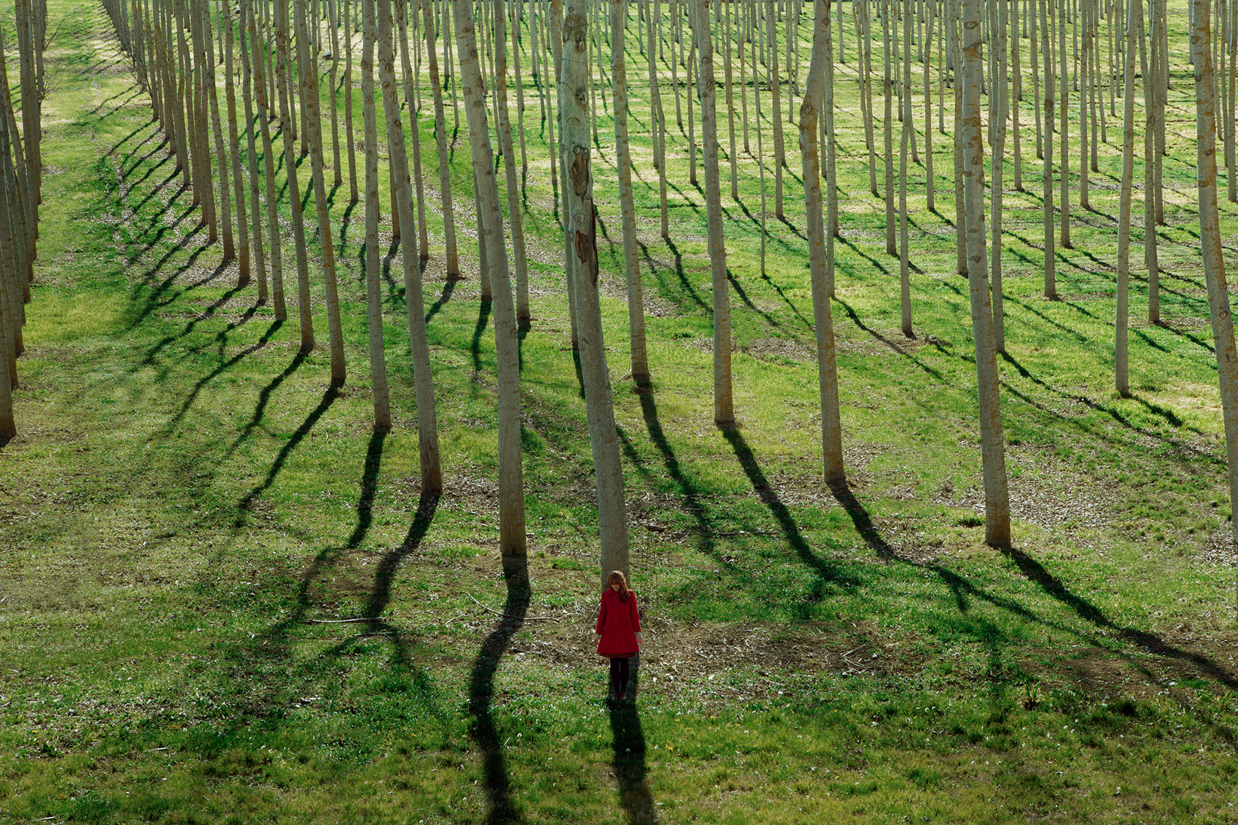 © Maia Flore