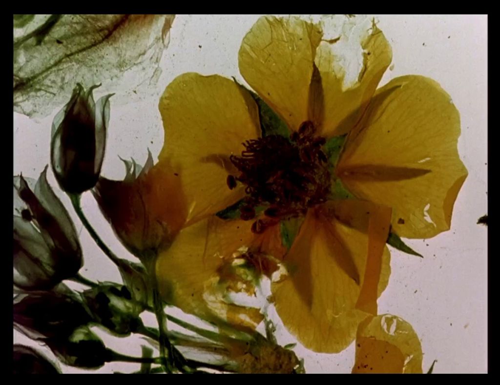 Photogramme du film The Garden of Earthly Delights