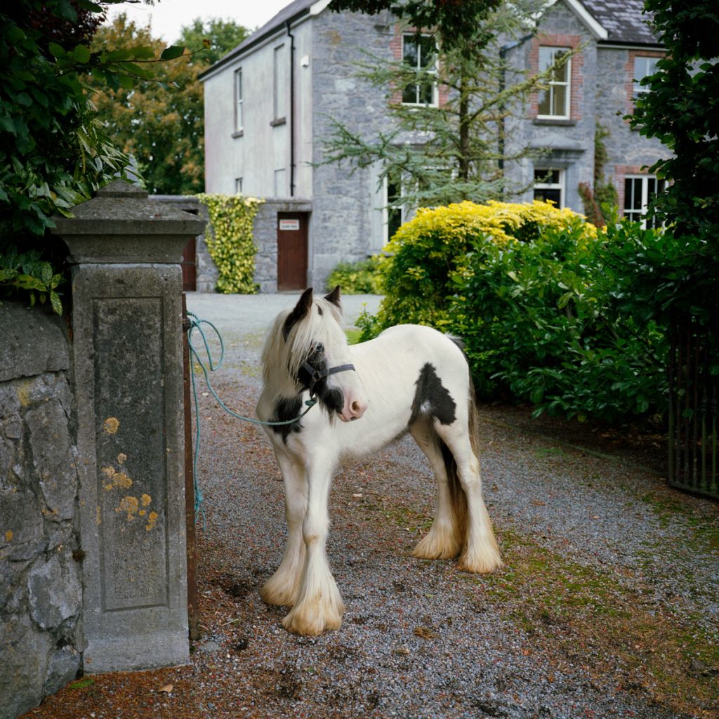 Photographie de Valentine de Villemeur montrant un cheval